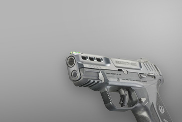 New Home Box1 Ruger Security (5.22)