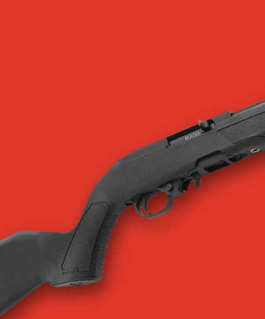 251218 box 4 Holiday Ruger 10/22