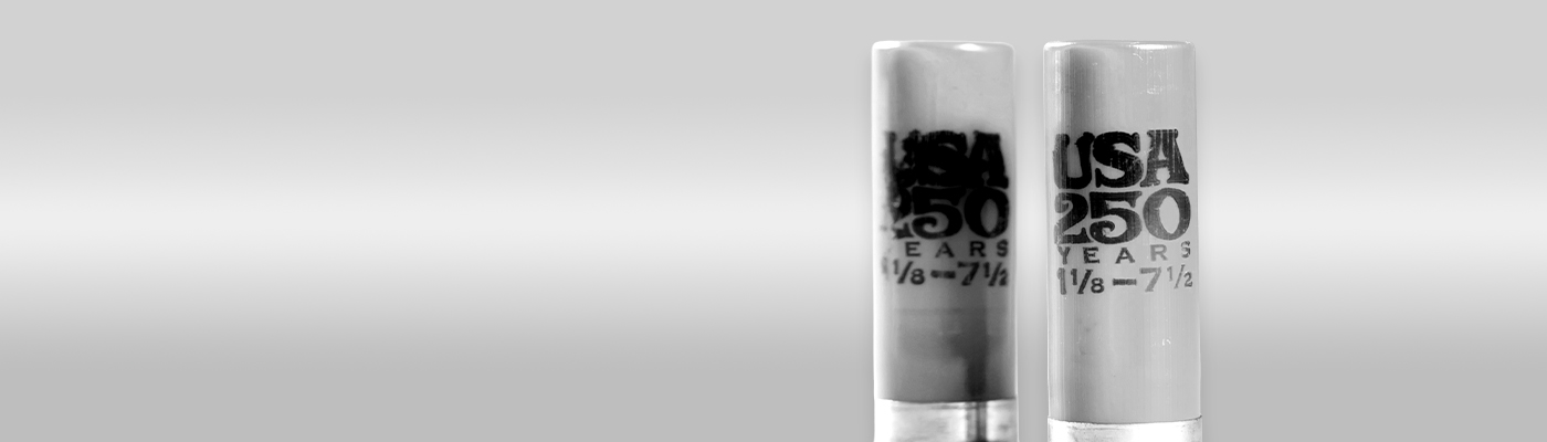 Ammo Flash Sale: 1.29 - 2.1