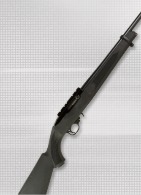 260129 BOX5 10/22 Ruger