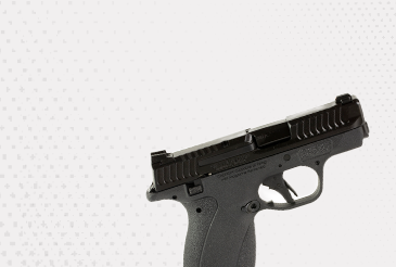 Homepage Box 1 S&W Bodygaurd