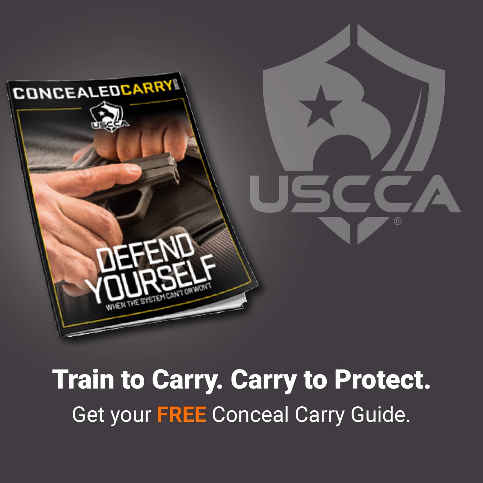Blog Sidebar Ad: USCCA Free Guide Short