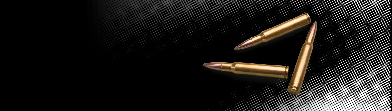 9.3 Ammo Flash Sale